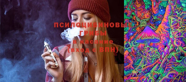 альфа пвп Дмитровск