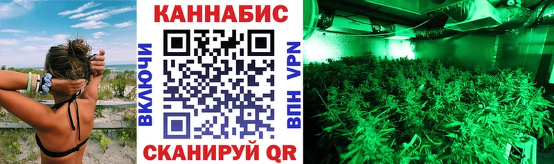 Марихуана White Widow  Купить закладки  Ирбит 